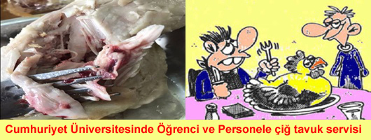 ÜNİVERSİTEDE ÇİĞ TAVUK KİMİN HATIRI İÇİN YENECEK !